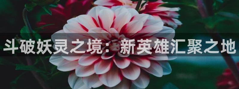 歪歪汗汗漫画在线观看