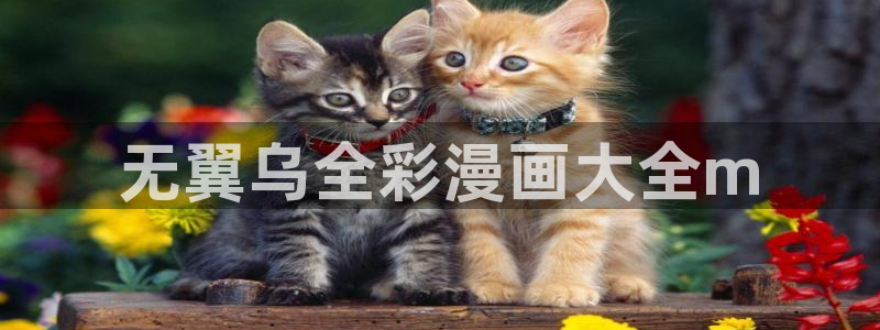 汗汗漫画免费观看