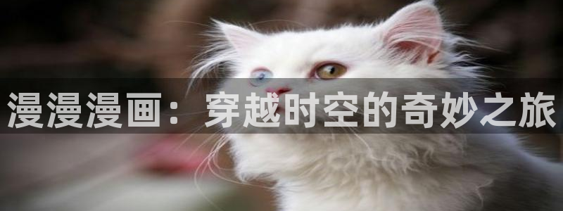 歪歪汗汗漫画在线看