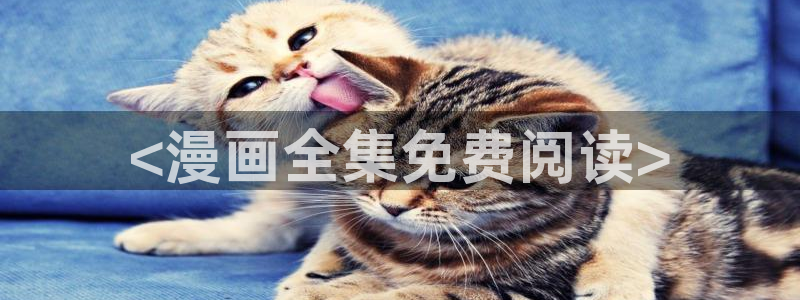 汗汗漫画sss在线观看