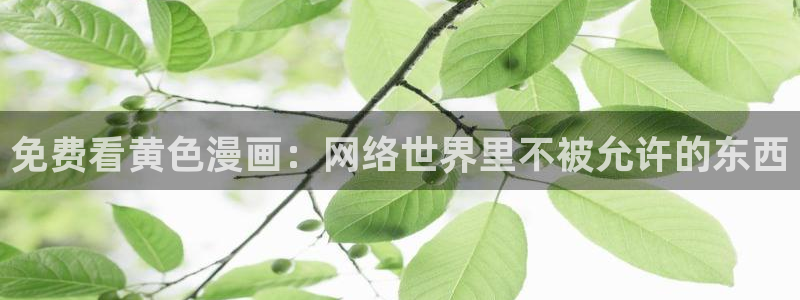 汗汗漫画画