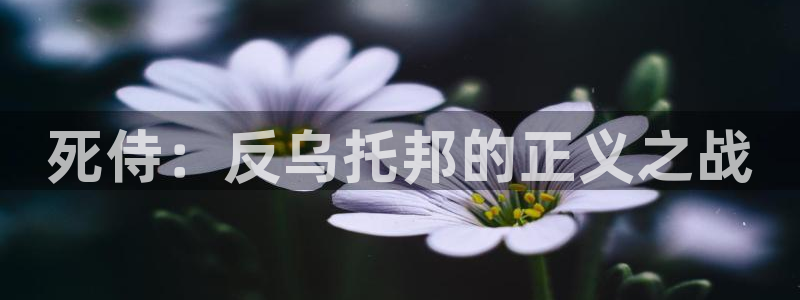 汗汗漫画在线进入入口