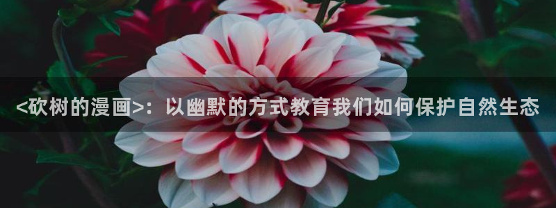 汗汗漫画网站大全