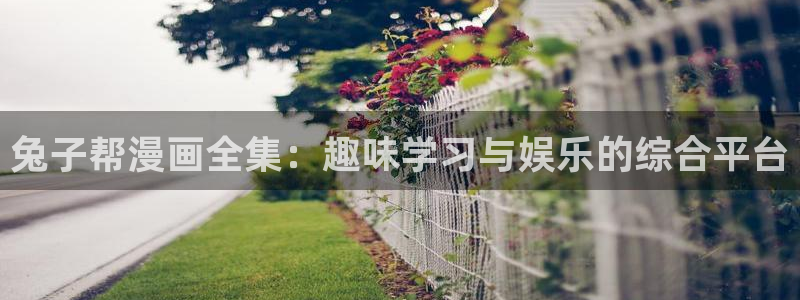 汗汗漫画排行榜：兔子帮漫画全集：趣味学习与娱乐的综合平台